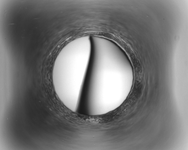 X0000098181351200804241022