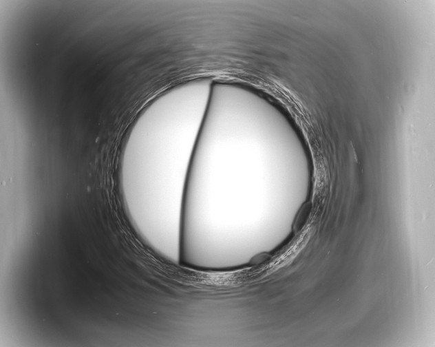 X0000098181353200804241022