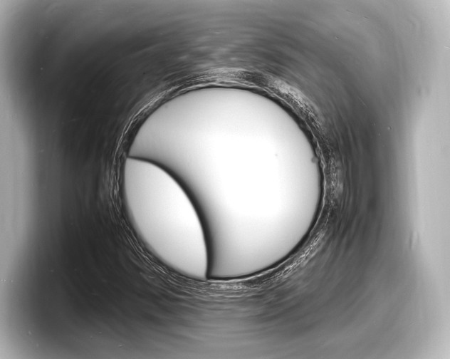 X0000098181354200804241022