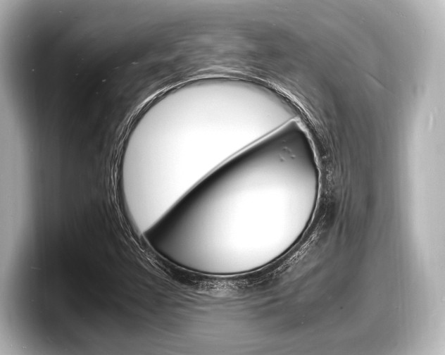 X0000098181355200804241022