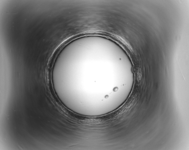 X0000098181356200804241022