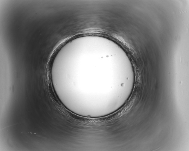 X0000098181358200804241022