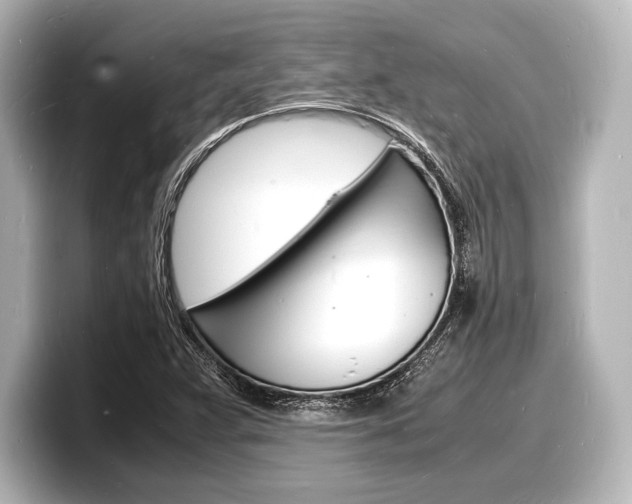 X0000098181359200804241022