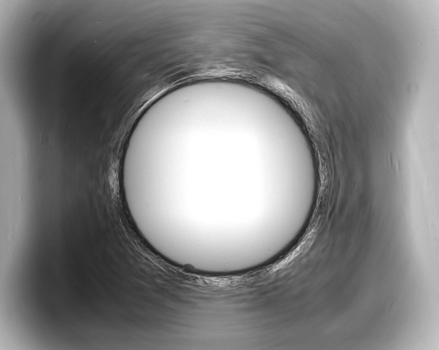 X0000098181361200804241022