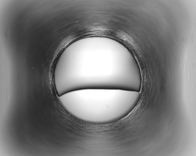 X0000098181362200804241021