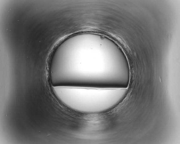X0000098181363200804241021