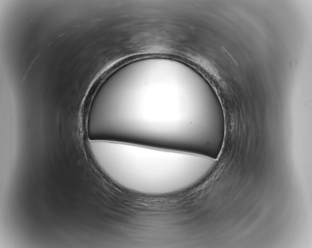 X0000098181364200804241021