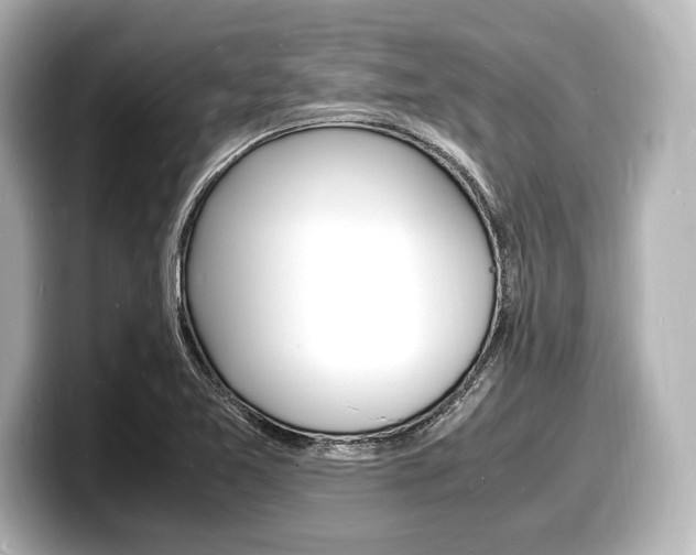 X0000098181365200804241021