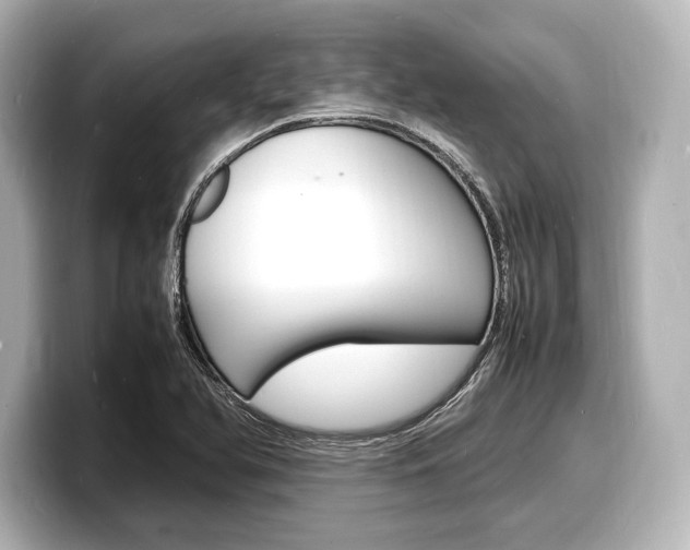 X0000098181366200804241021