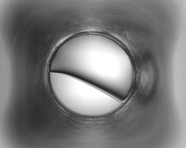 X0000098181367200804241021