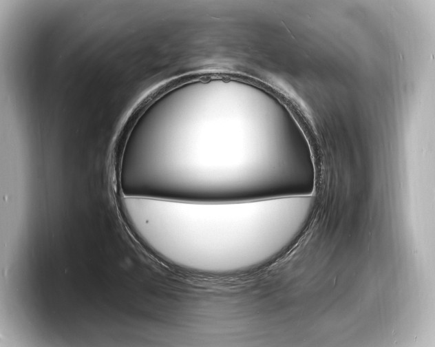 X0000098181368200804241021