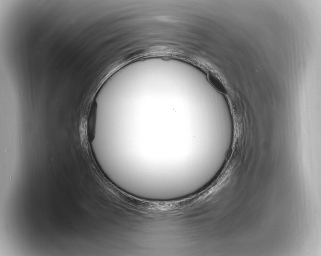 X0000098181369200804241021
