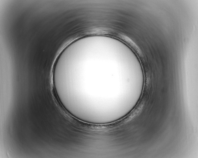 X0000098181370200804241021