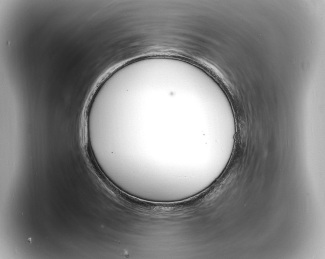 X0000098181371200804241021