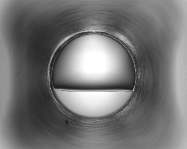 X0000098181372200804241021