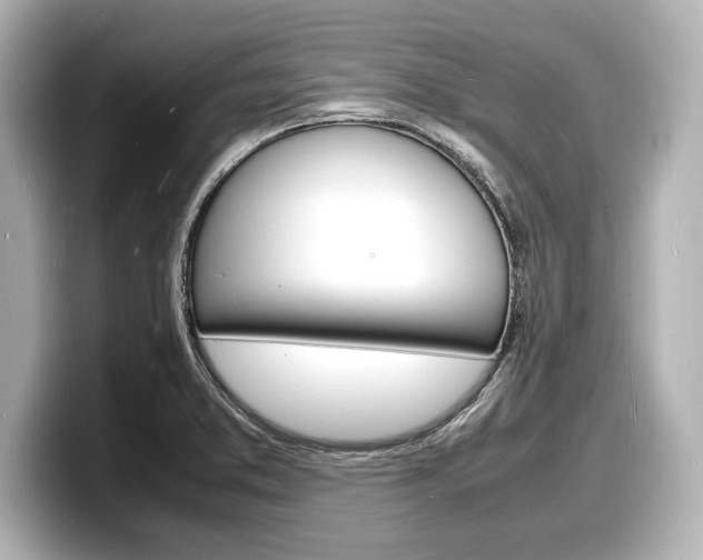 X0000098181373200804241021