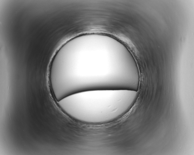 X0000098181374200804241021