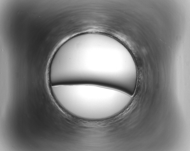 X0000098181375200804241021