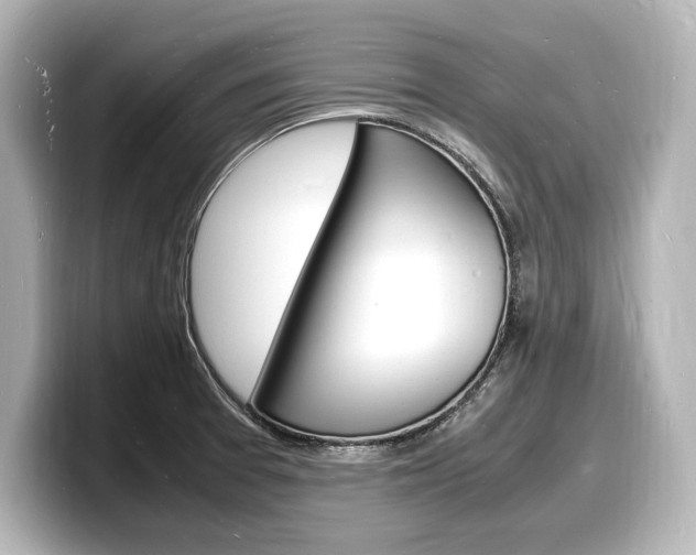 X0000098181377200804241021