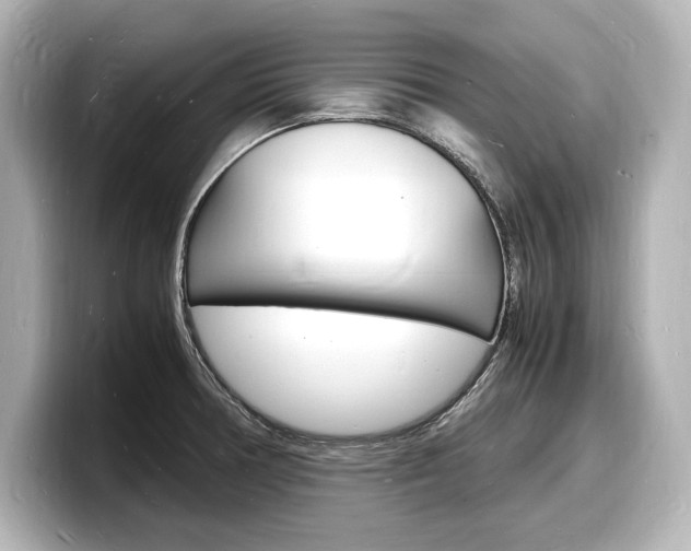 X0000098181378200804241021