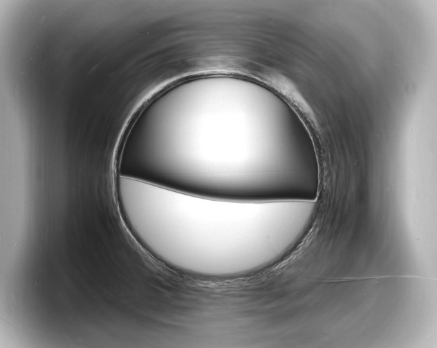 X0000098181380200804241021