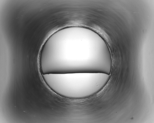 X0000098181382200804241021