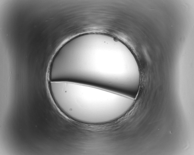 X0000098181383200804241021