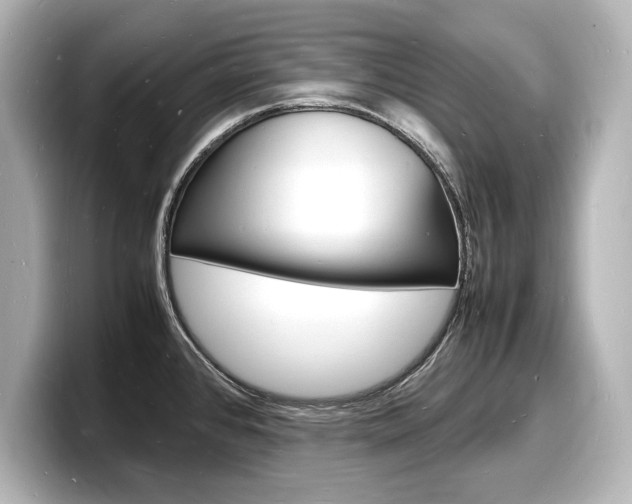 X0000098181384200804241021