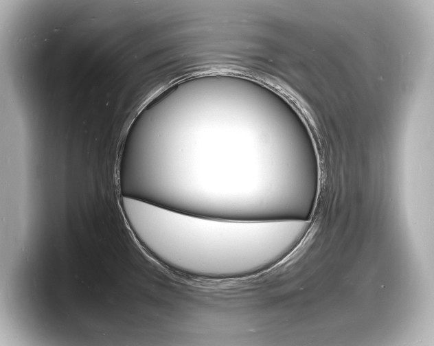 X0000098181385200804241021