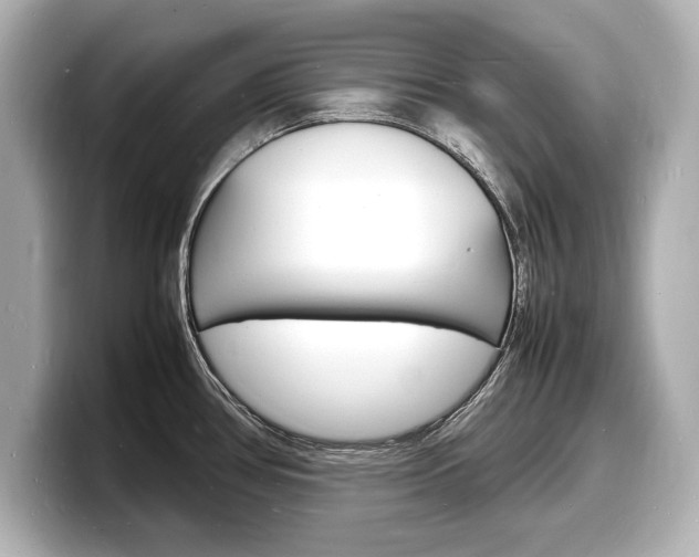 X0000098181386200804241021