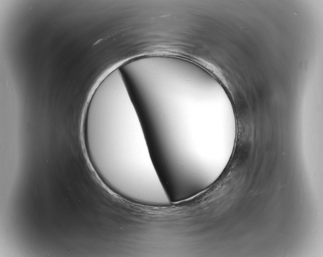 X0000098181387200804241021