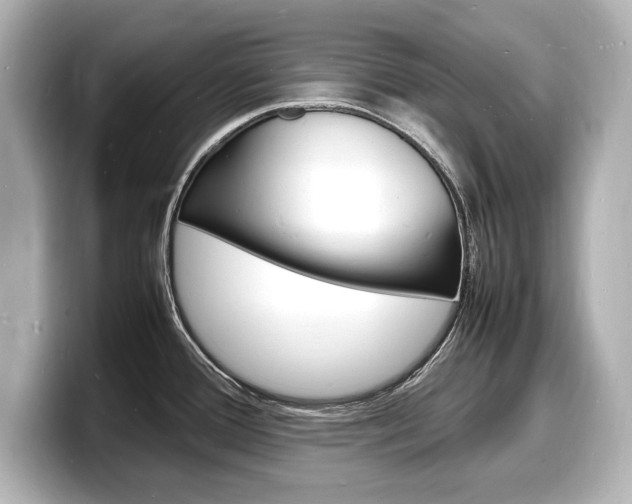 X0000098181388200804241021