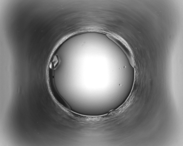 X0000098181389200804241021