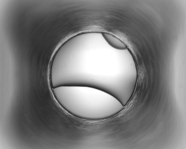 X0000098181390200804241021