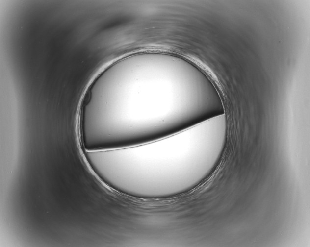 X0000098181391200804241021