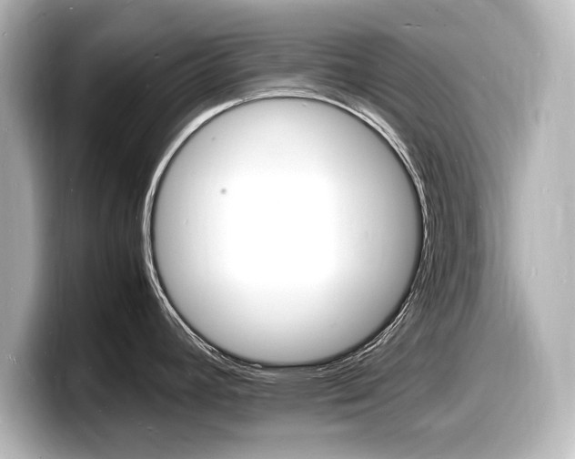 X0000098181392200804241021