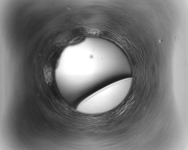 X0000098181394200804241020