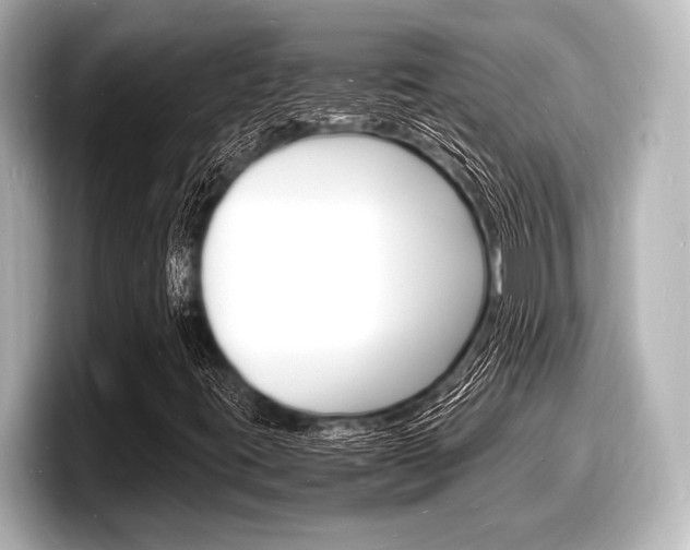 X0000098181395200804241020