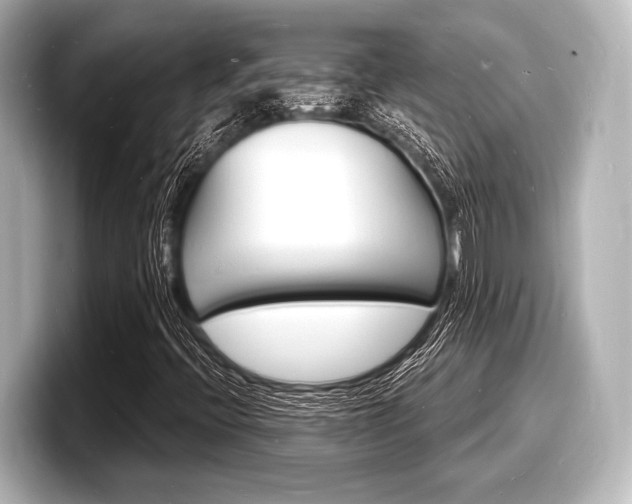 X0000098181396200804241020