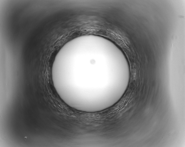 X0000098181397200804241021