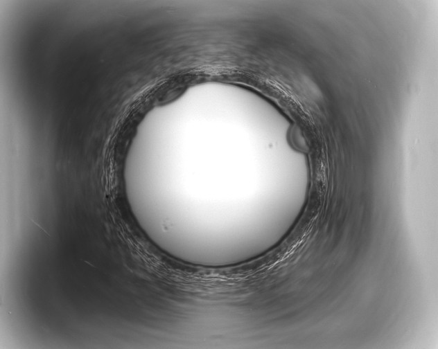 X0000098181398200804241021