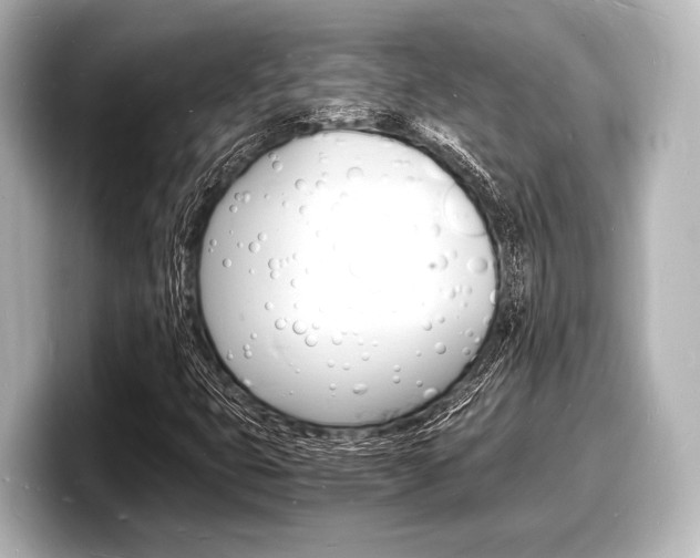X0000098181399200804241021
