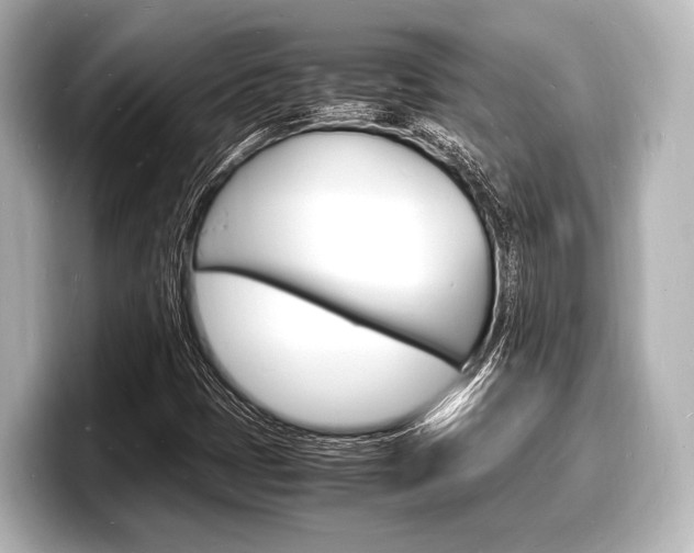 X0000098181401200804241021