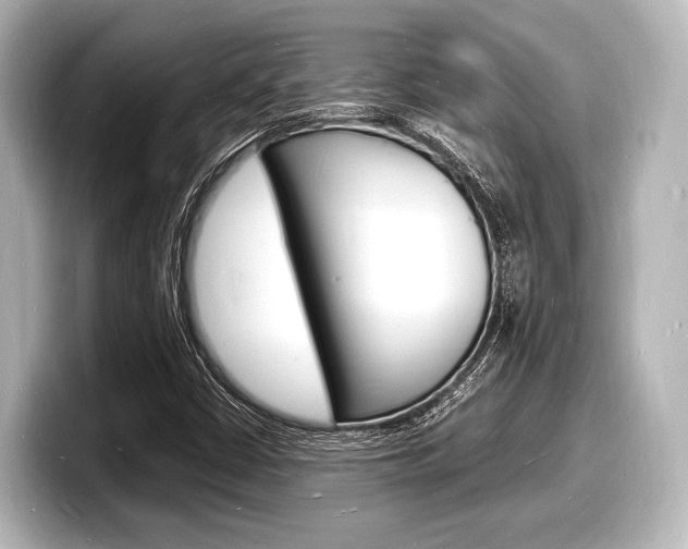 X0000098181402200804241021