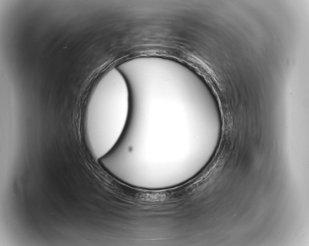 X0000098181403200804241021