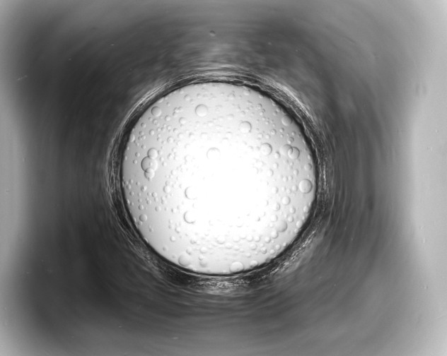 X0000098181405200804241021