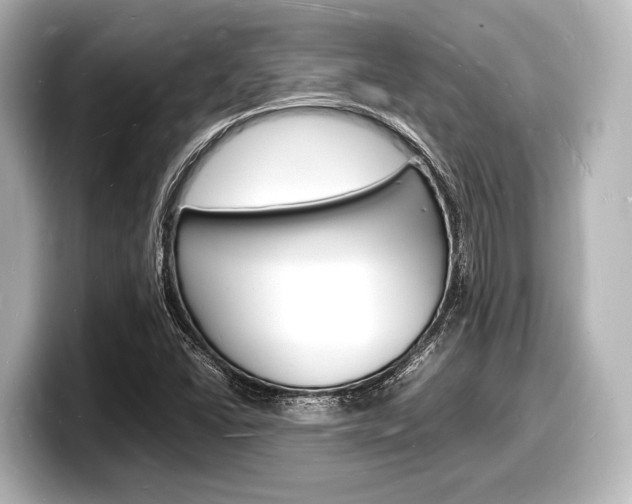 X0000098181406200804241021