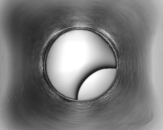 X0000098181408200804241021
