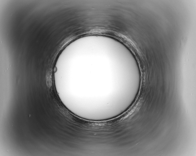 X0000098181409200804241021