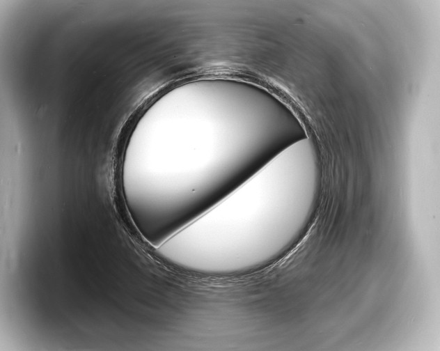 X0000098181410200804241021